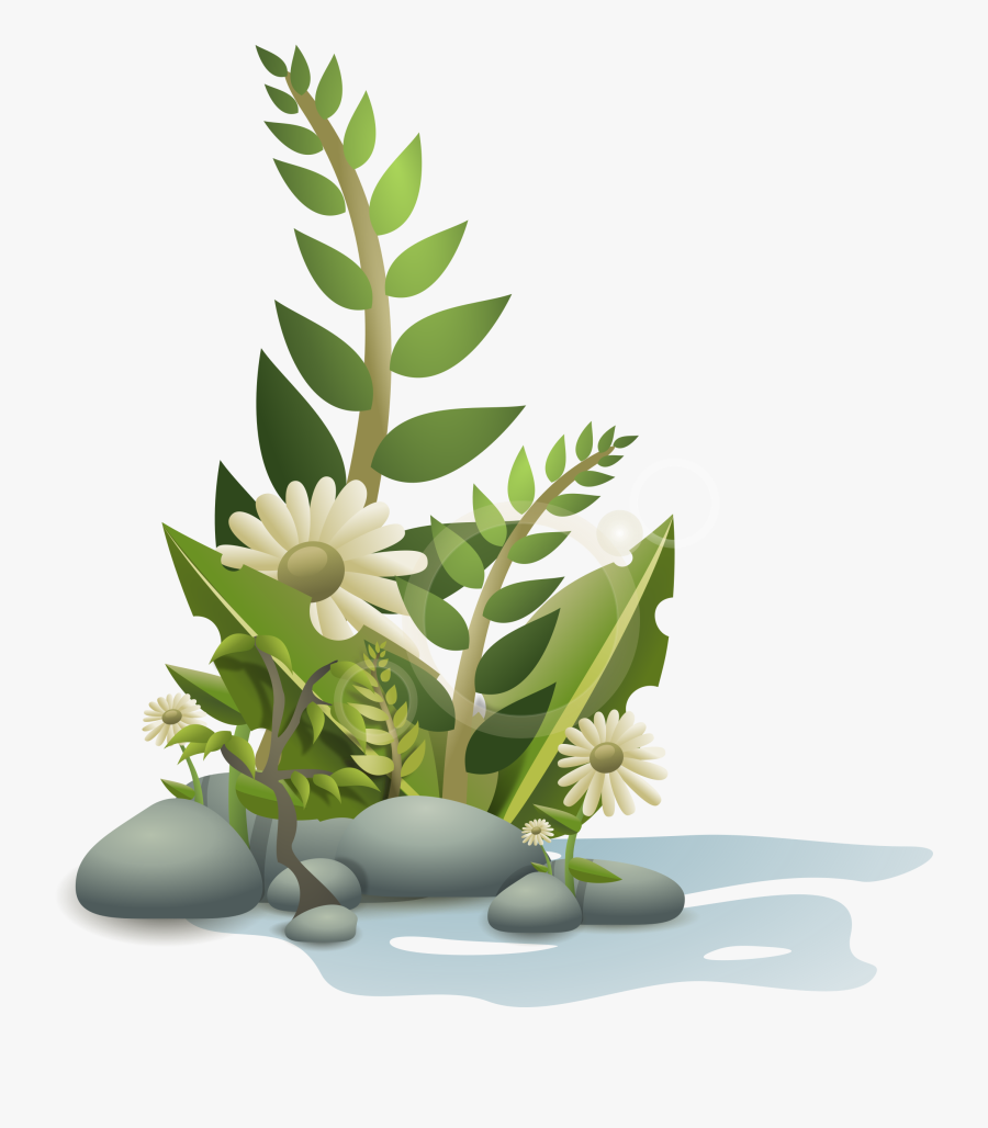 Cactus Flower Clipart, Transparent Clipart