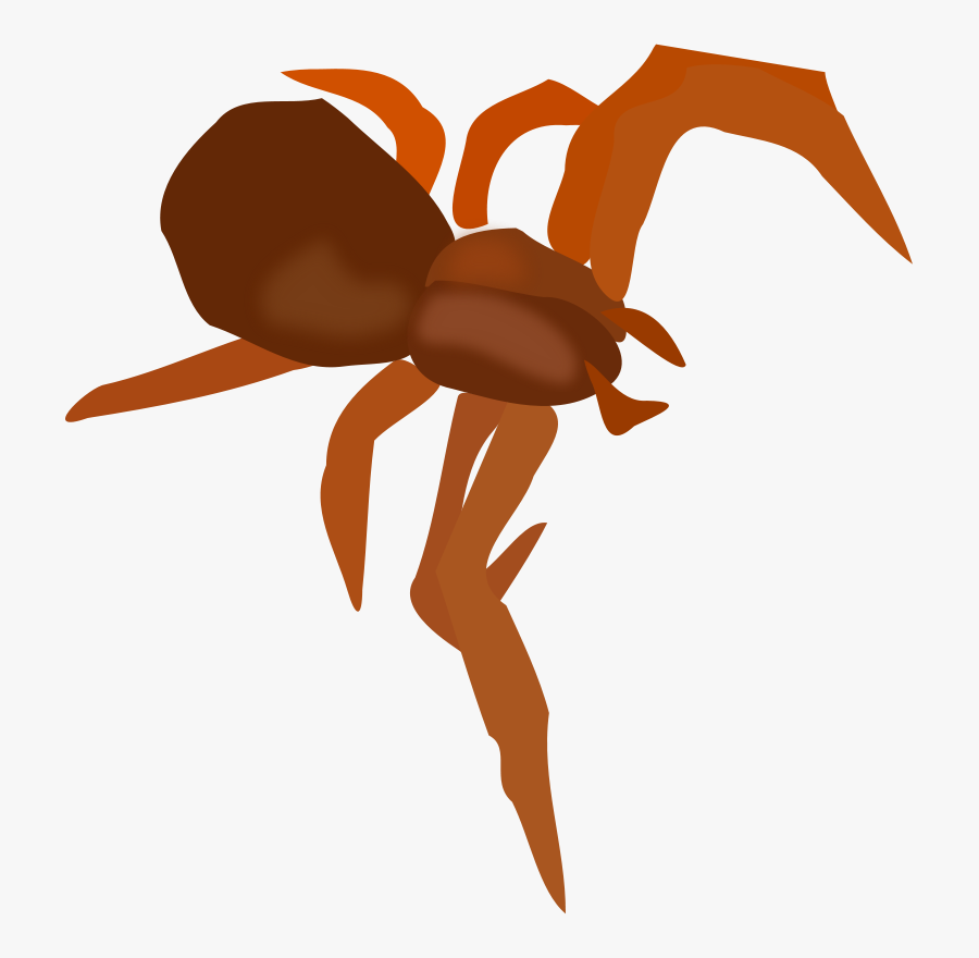 Spider Svg Clip Arts - Spider, Transparent Clipart