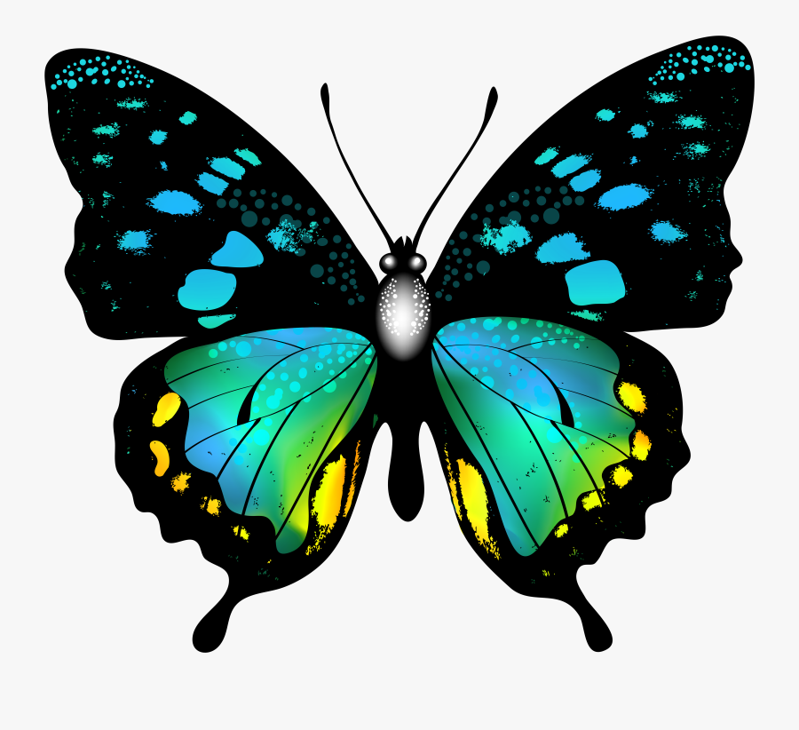 Butterfly Clipart Artistic - Colourful Butterfly Clipart Png, Transparent Clipart
