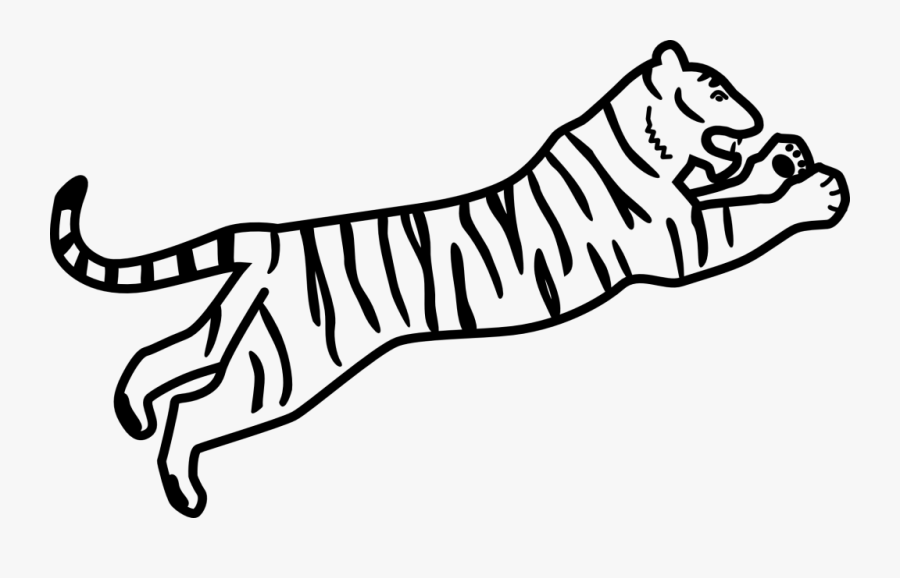 Bengal Tiger Easy Drawing, Transparent Clipart