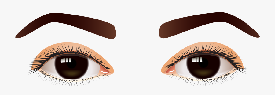 Female Brown Eyes Png Clip Art - Brown Eye Transparent Background, Transparent Clipart