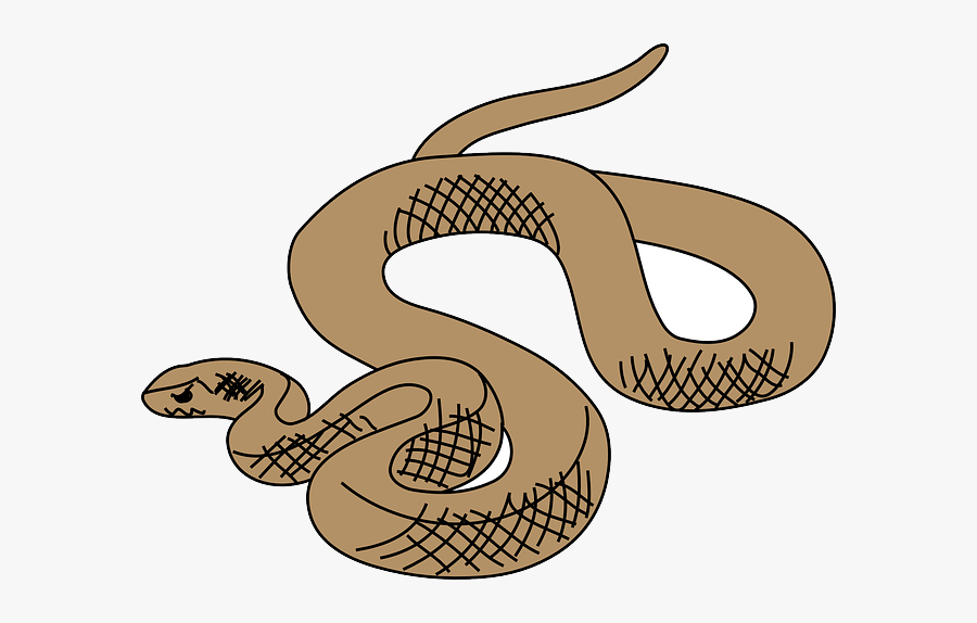 Cartoon Brown Tree Snake, Transparent Clipart