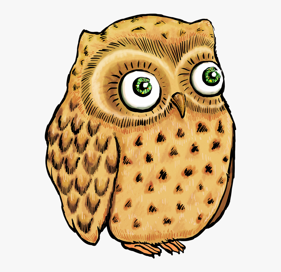 Owl Cute Owl Owl Illustration - Sonidos Con Buho Animado, Transparent Clipart