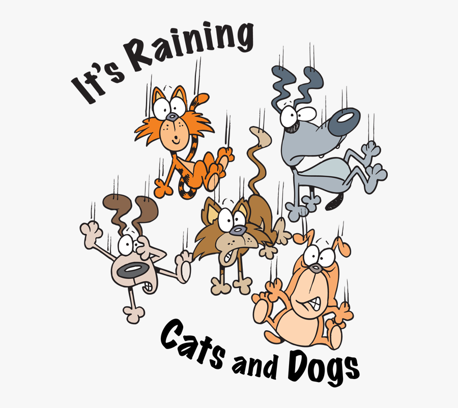 It s raining cats