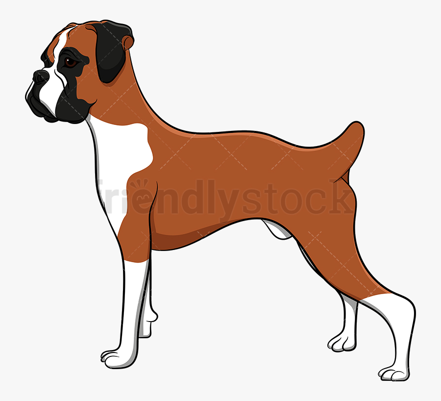 Dog Proud Boxer Vector Cartoon Clipart Transparent - Boxer Dog Clip Art, Transparent Clipart