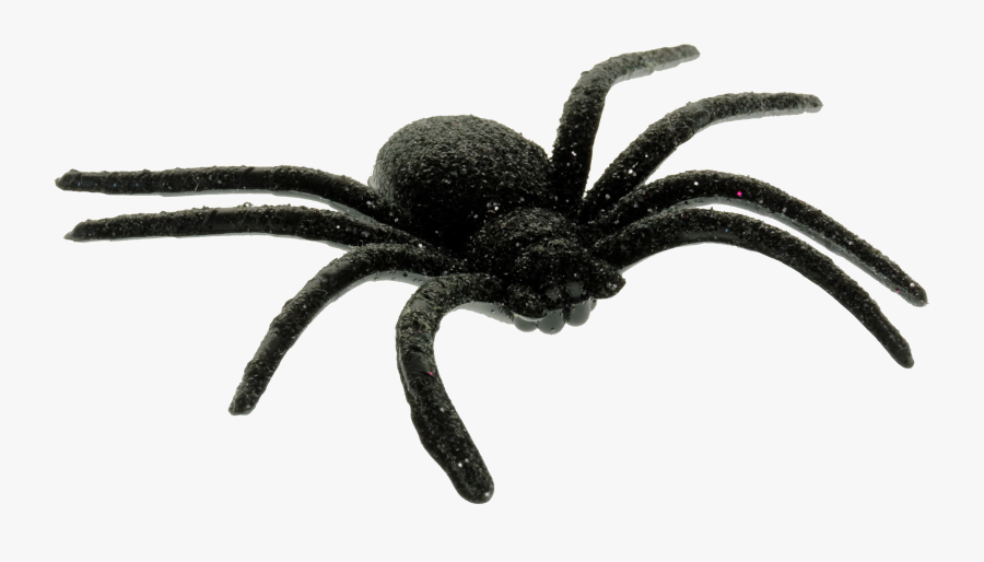 Transparent Spider Clipart - Scary Black Spider Halloween Decorations, Transparent Clipart
