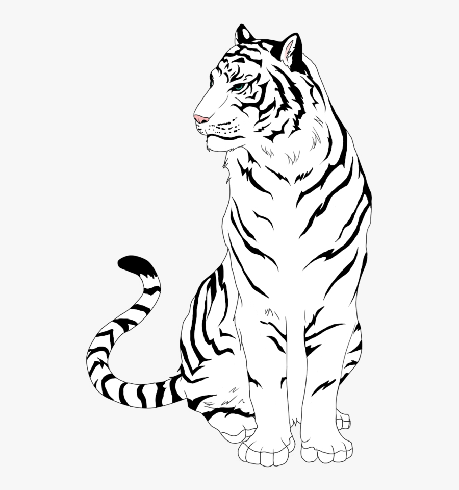 Tiger Clipart Drawn - White Tiger Drawing Easy, Transparent Clipart