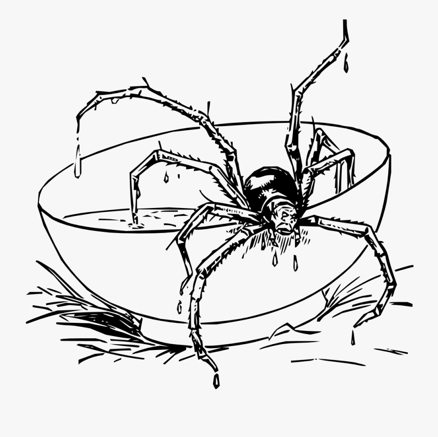 Miss Muffet S Spider Svg Clip Arts - Scary Spider Coloring Page, Transparent Clipart