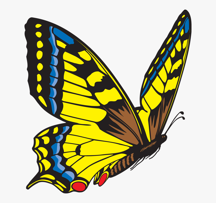 Flying Butterfly Clip Art, Transparent Clipart