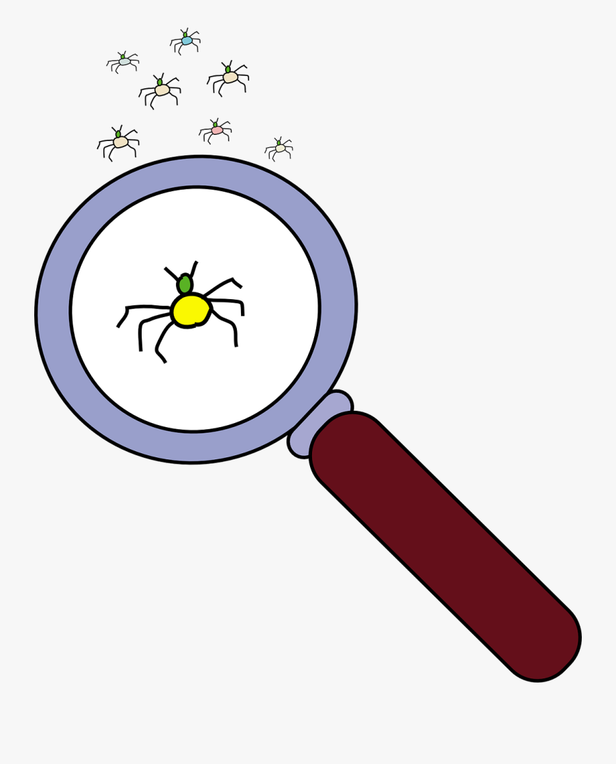 Lens Bug Free Vector - Investigate Clipart, Transparent Clipart