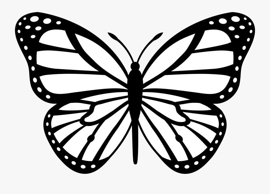 Free Butterfly Clipart - Butterfly Clipart Black And White, Transparent Clipart