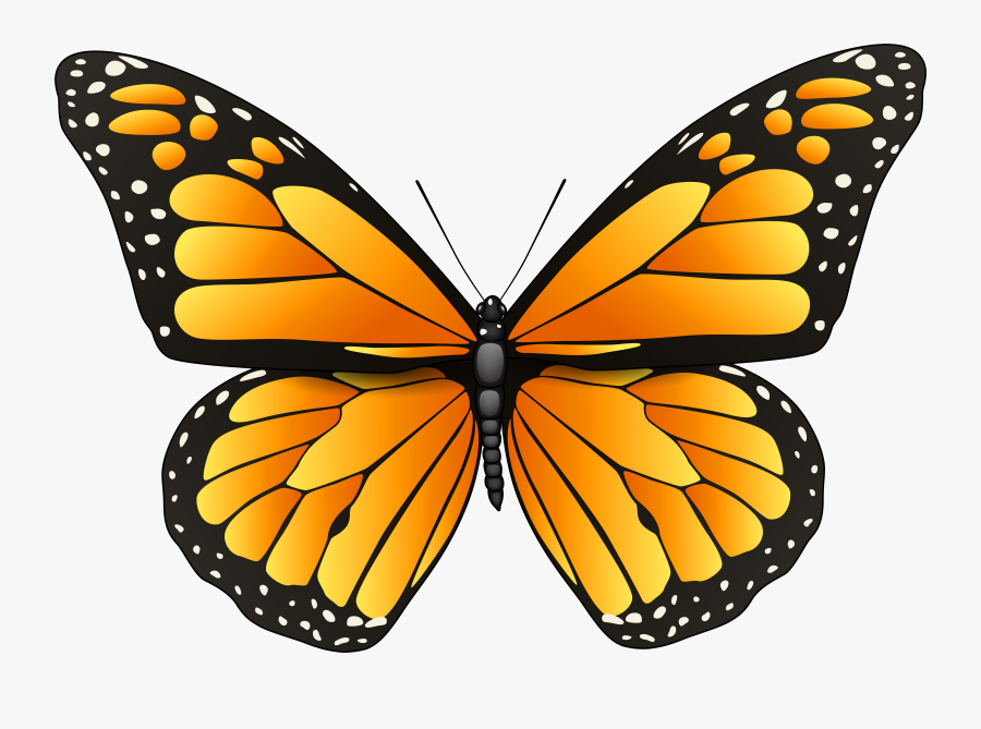 Orange Butterfly Png Clip Art, Transparent Clipart