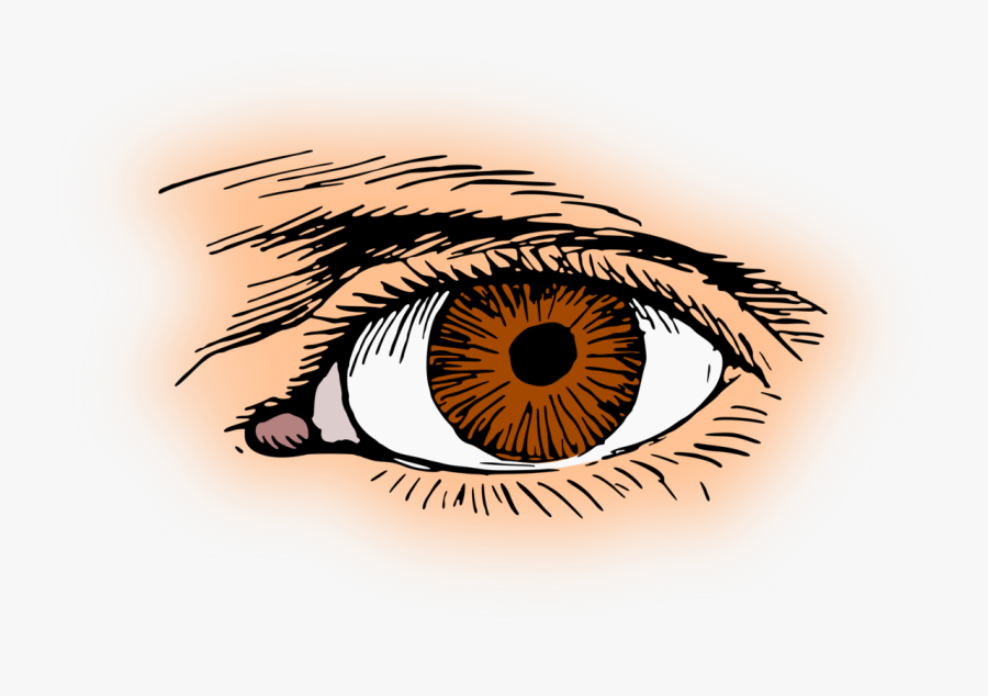 Human Eye Png - Eye Clipart, Transparent Clipart