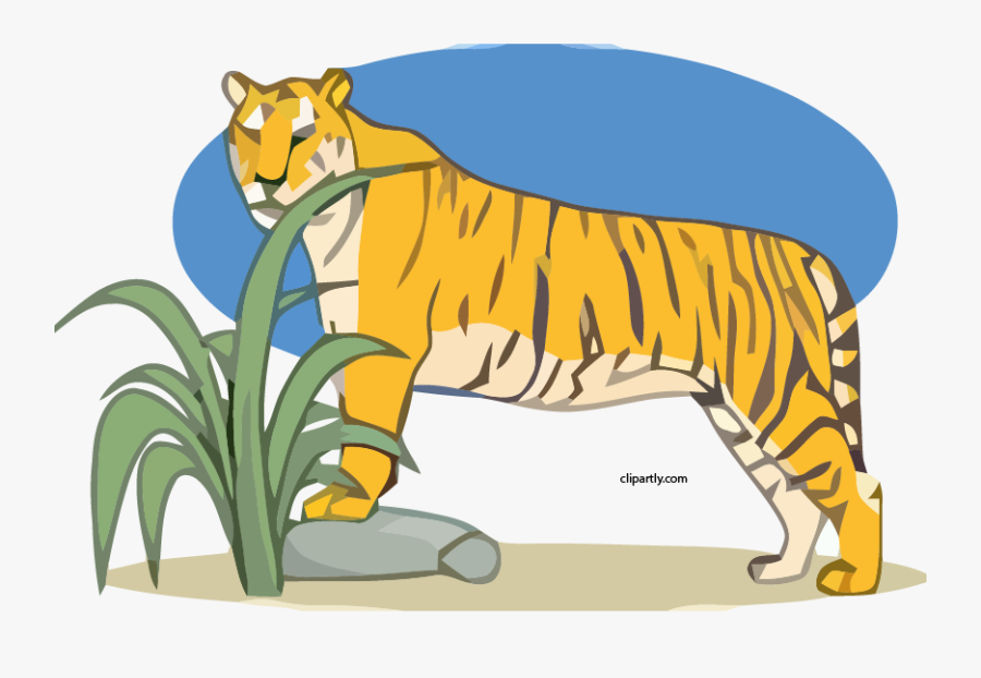 Tiger Clipart Png - Descripcion De Animales En Ingles, Transparent Clipart