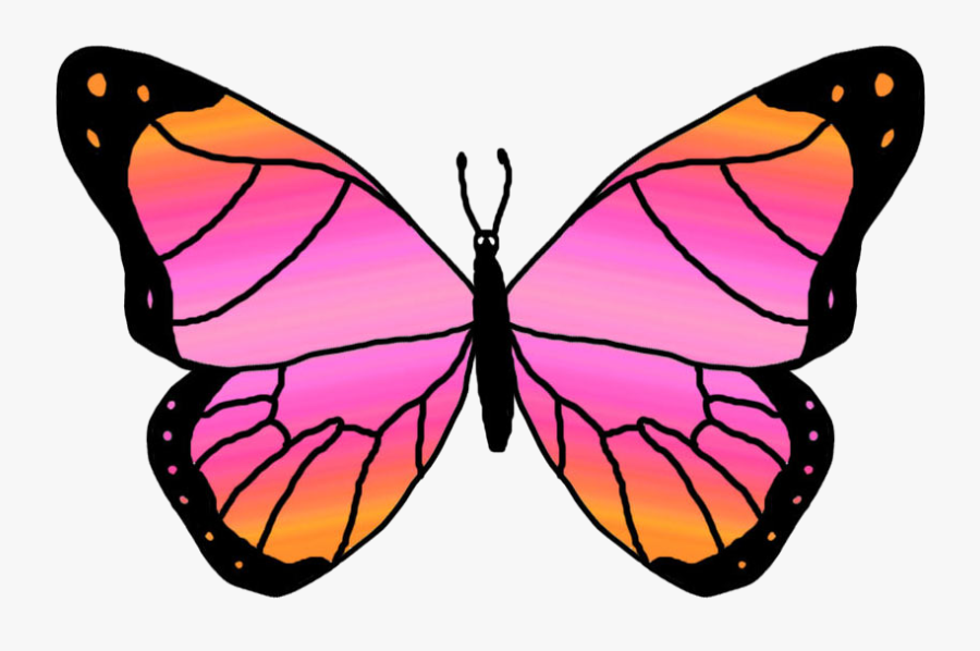 Butterflies Cartoon Butterfly Clipart - Pink And Orange Butterfly, Transparent Clipart