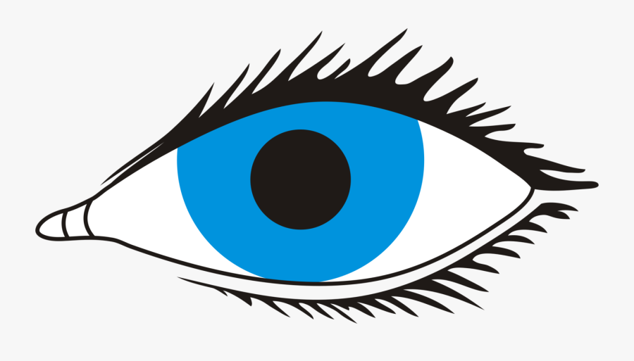 Human Eye Visual Perception Eyelash Iris Free Commercial - Eye With No Background, Transparent Clipart