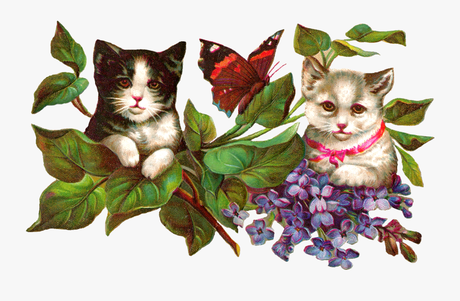 Cat Clip Art, Transparent Clipart