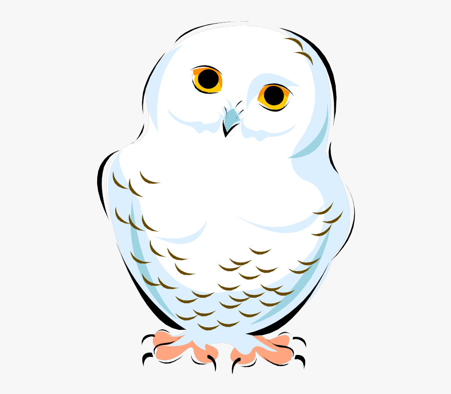 Snowy Owl Clip Art Image Vector Graphics - Snowy Owl, Transparent Clipart