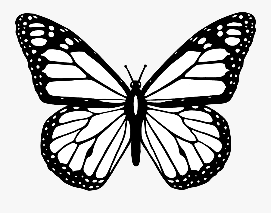 Butterfly Clipart Black And White, Transparent Clipart