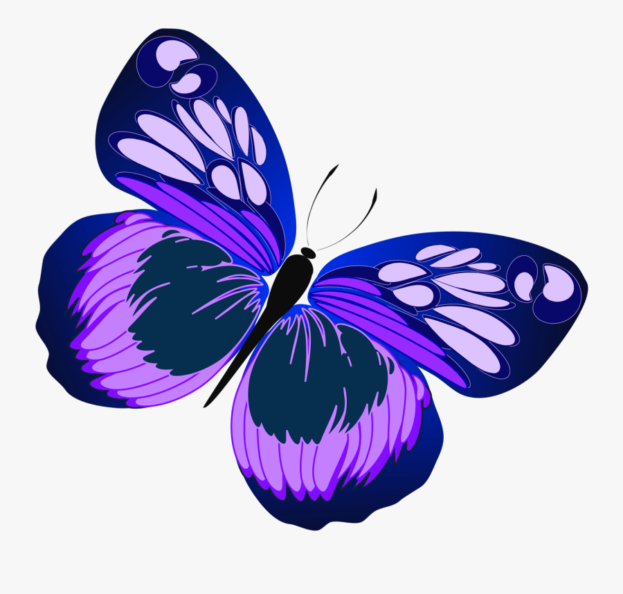 Clip Art Butterfly Clipartiki - Purple Butterfly Clipart Free, Transparent Clipart