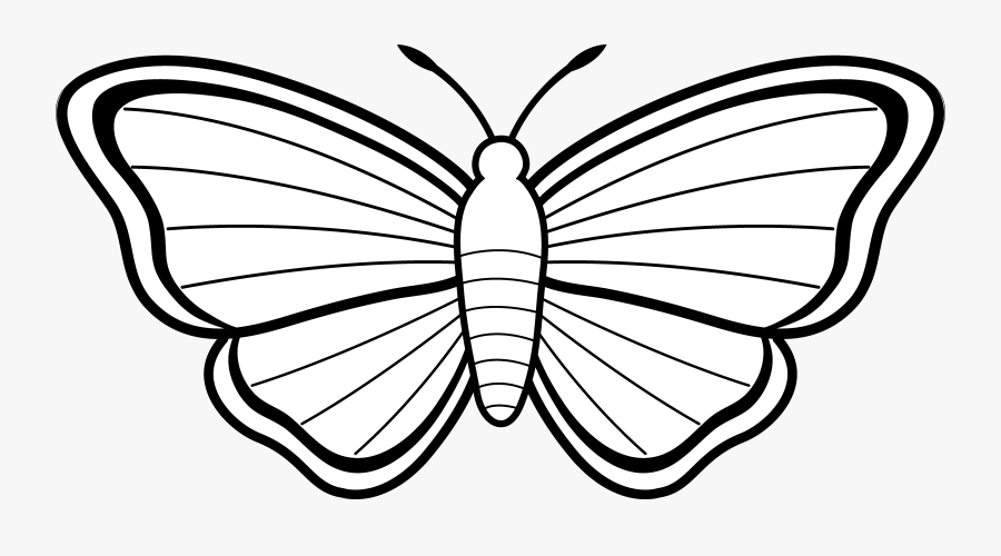 Butterfly Clip Art Black And White Free Clipart - Butterfly Sketch For Colouring, Transparent Clipart