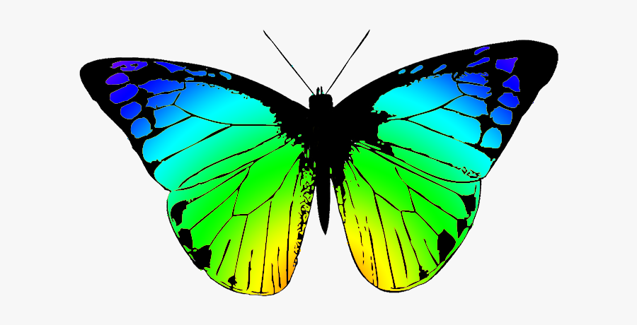 Greenish Butterfly Clipart - Black And White Butterfly Transparent, Transparent Clipart