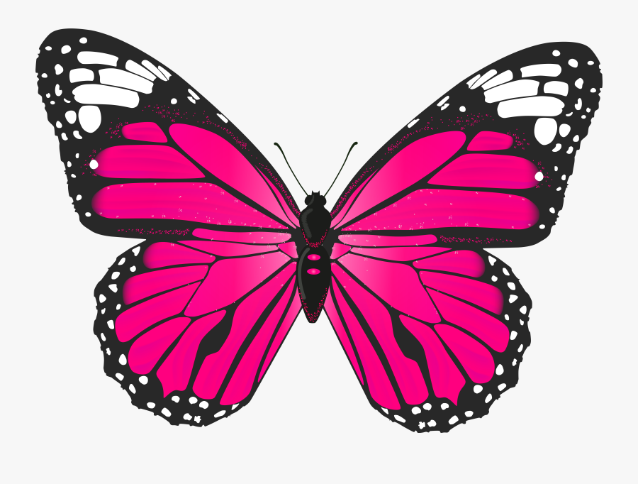 Butterfly Clipart Pink Clipartfest - Pink Butterfly Clip Art, Transparent Clipart