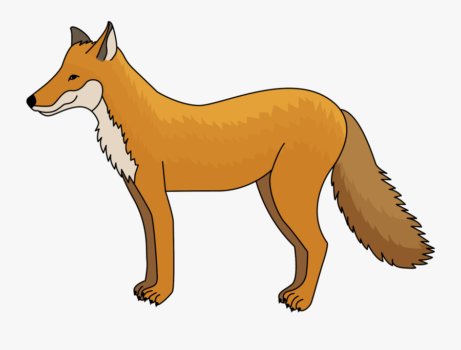Red Fox, Transparent Clipart