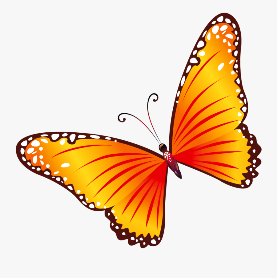 Butterfly Clipart Png, Transparent Clipart