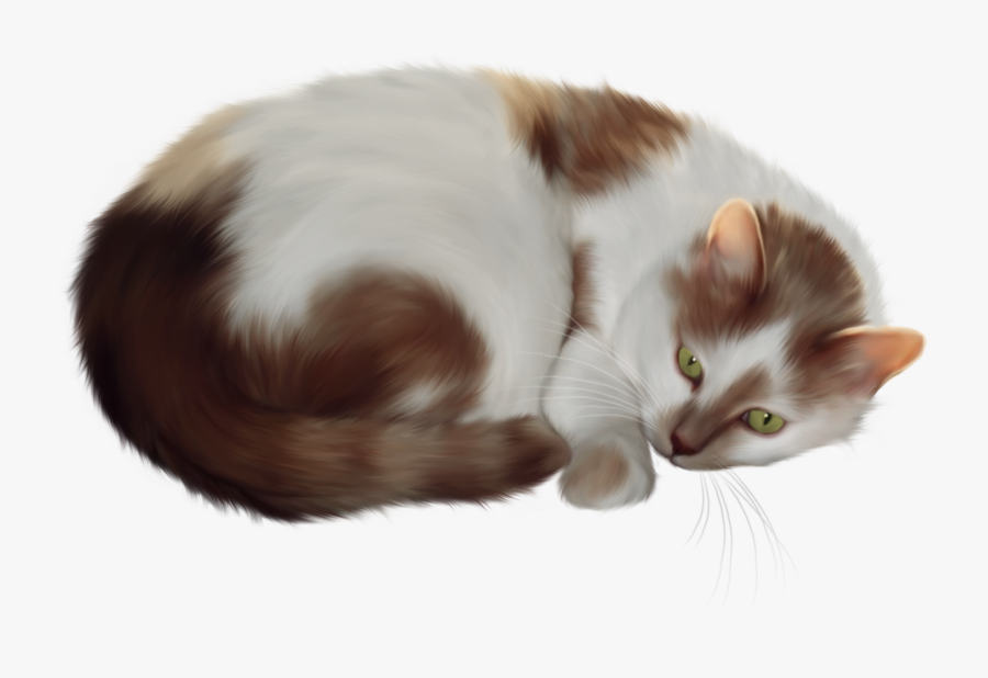 Cat Clipart Transparent, Transparent Clipart