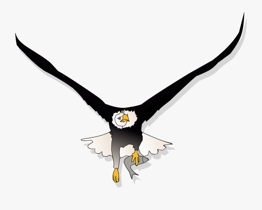 Eagle, Fish, Flying, Eye, Hunt, Eagle Eye, Clipart - Fish Eagle Clipart, Transparent Clipart