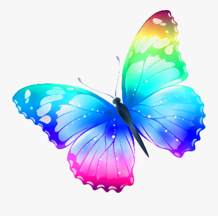 Transparent Background Butterfly Clipart, Transparent Clipart