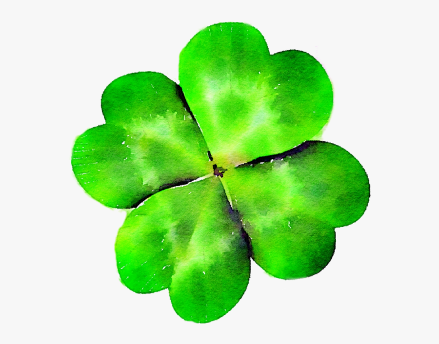 Four Leaf Clover, Clover, Green, St Patty"s Day Png - Rotational Symmetry Of A Flower, Transparent Clipart