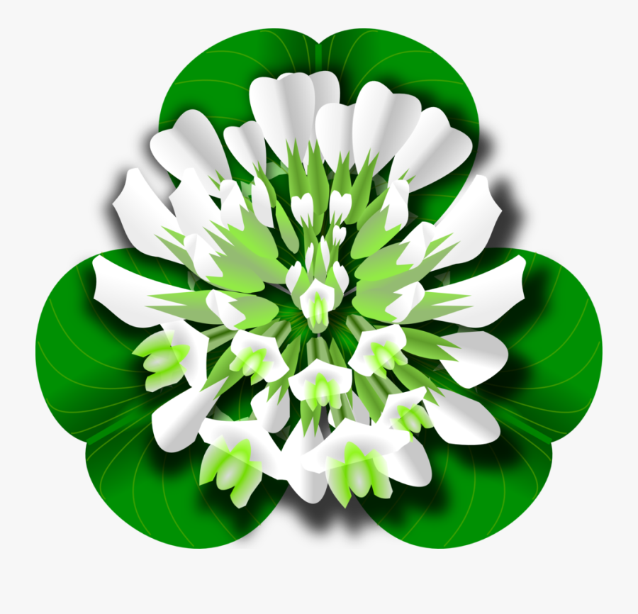 White Clover Flower - White Clover Clipart, Transparent Clipart