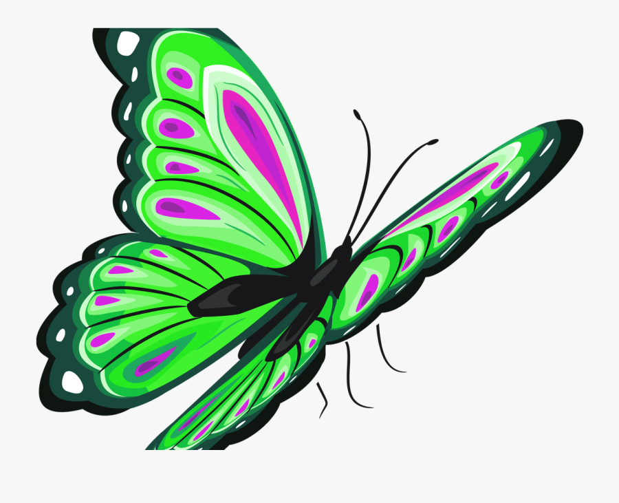 Free Green Butterfly Clipart, Download Free Clip Art, - Png For Butterfly, Transparent Clipart