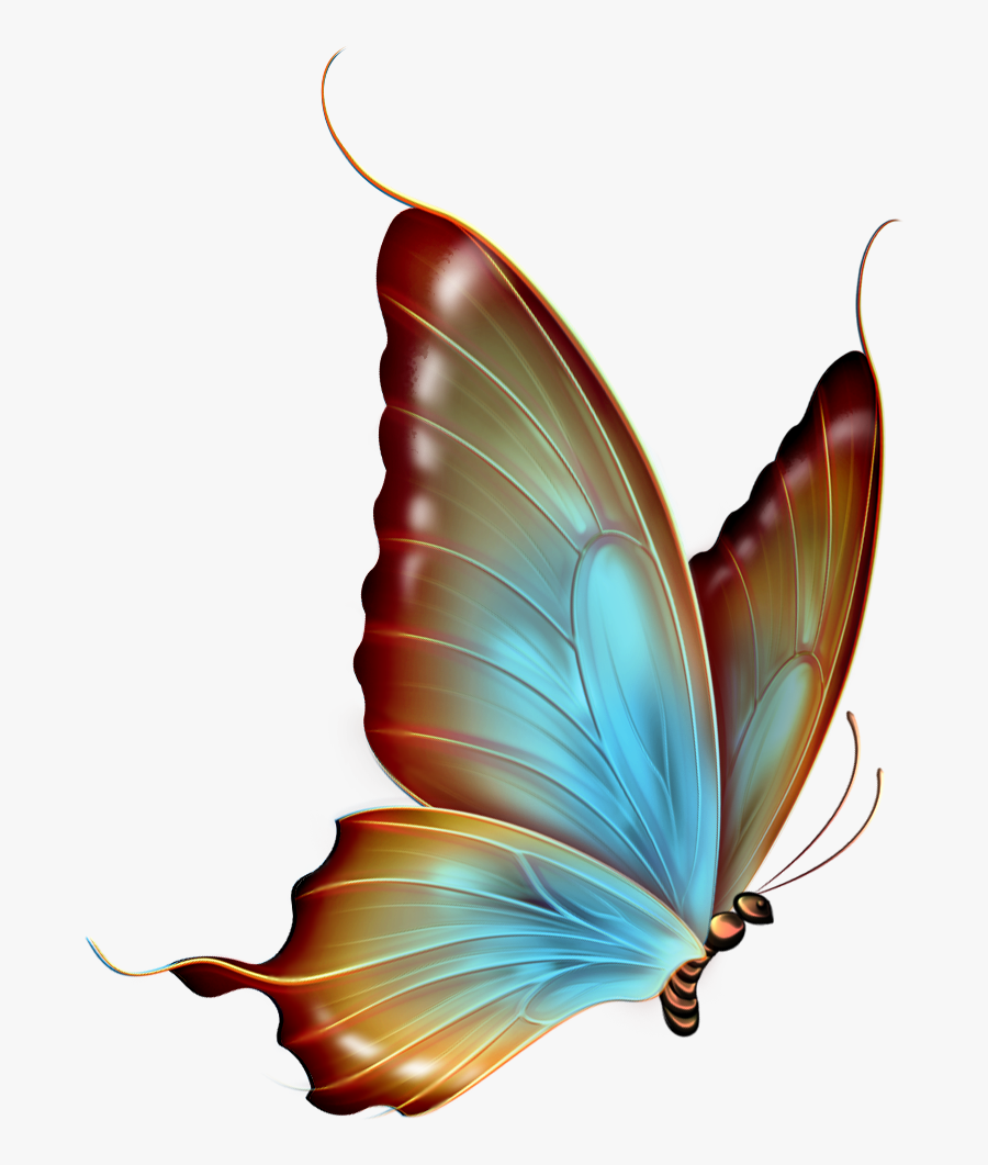 Brown And Blue Transparent Butterfly Clipart - Transparent Background Butterfly Png Hd, Transparent Clipart