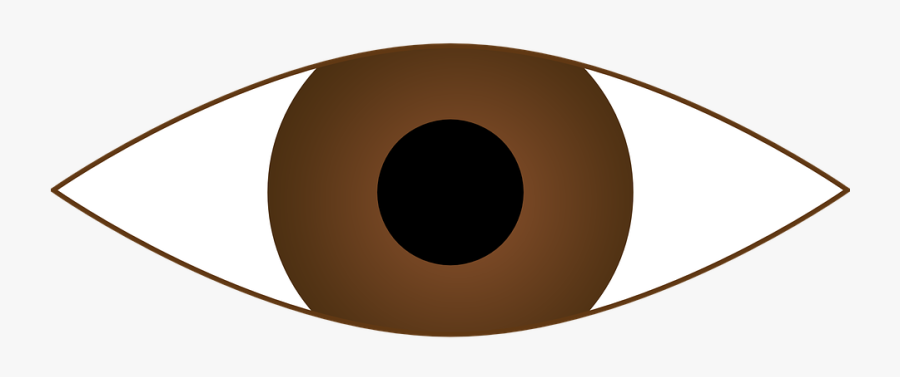 Doe Eyes Clipart - Brown Eye Clipart, Transparent Clipart