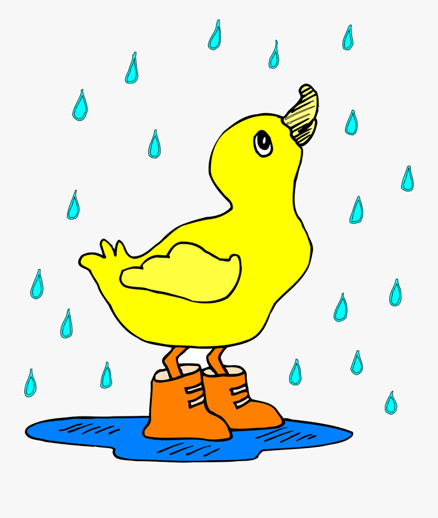 Clip Art Duck With Umbrella Clipart - Cartoon Duck In The Rain, Transparent Clipart