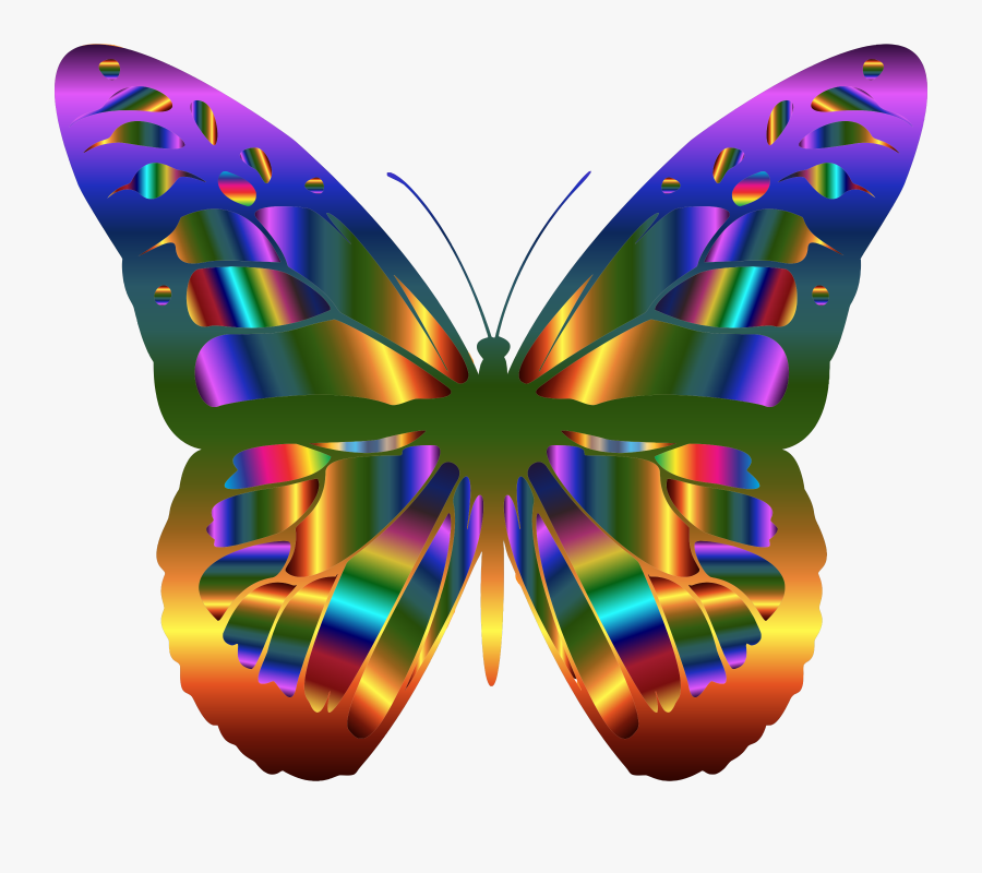 The Monarch Butterfly Insect Beautiful Butterflies - Png Transparent Butterfly Clipart, Transparent Clipart