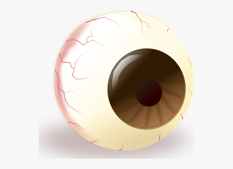 Eye Clipart - Funny Eyeball Clip Art, Transparent Clipart