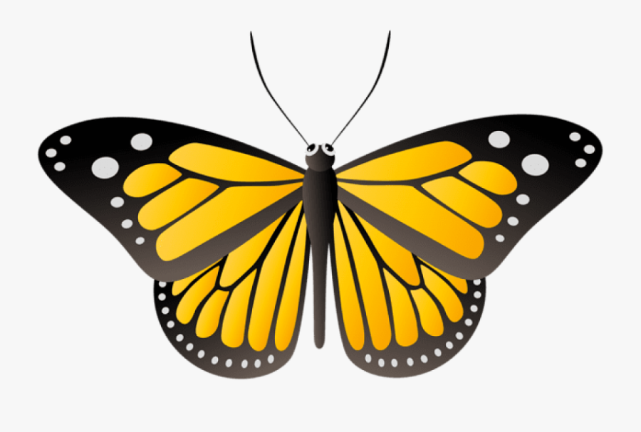 Butterfly Yellow Png - Yellow Butterflies Clip Art, Transparent Clipart