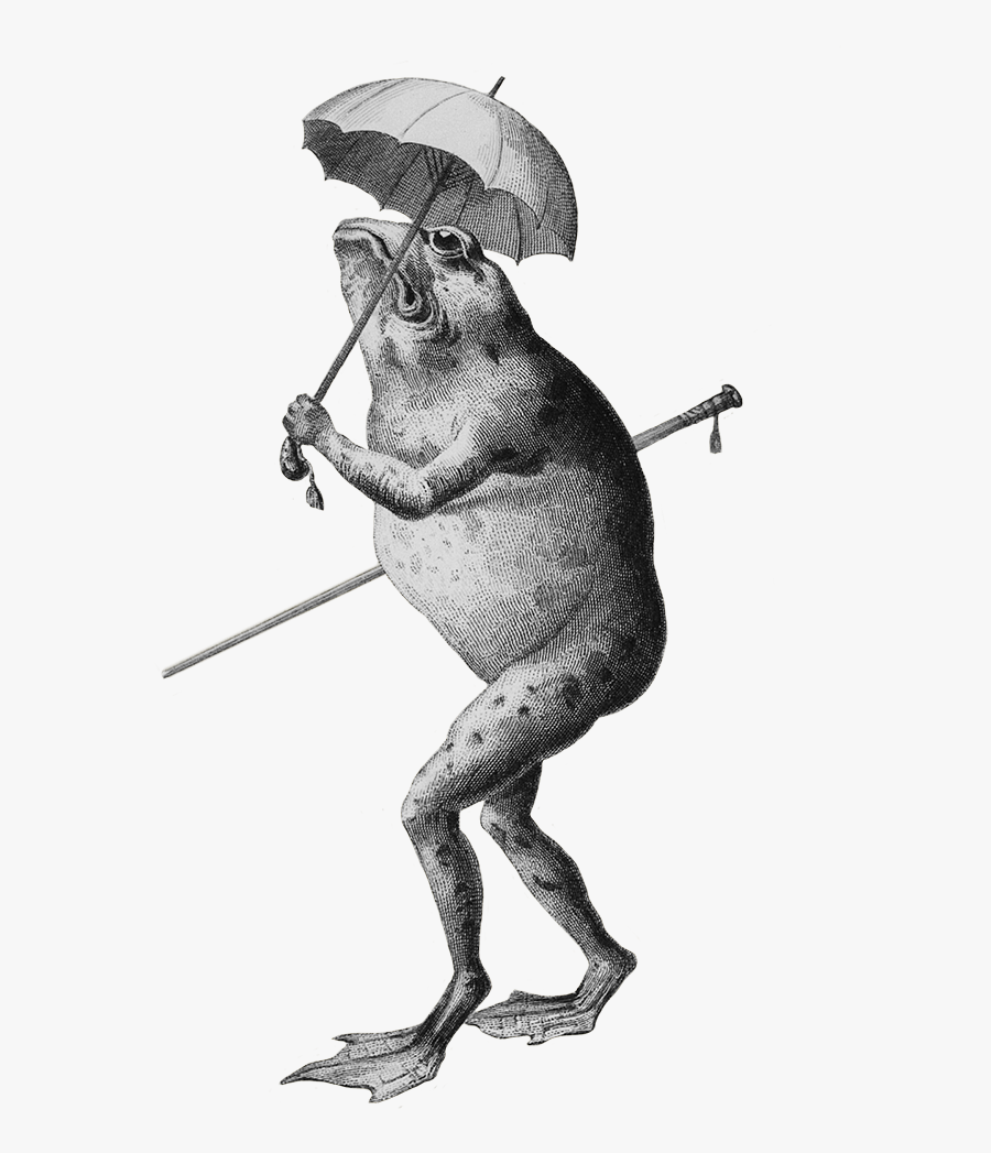 Cartoon Frog With Umbrella, Transparent Clipart