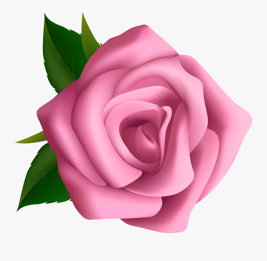 Transparent Rose Png Hd - Pink Rose Clipart Transparent Background, Transparent Clipart