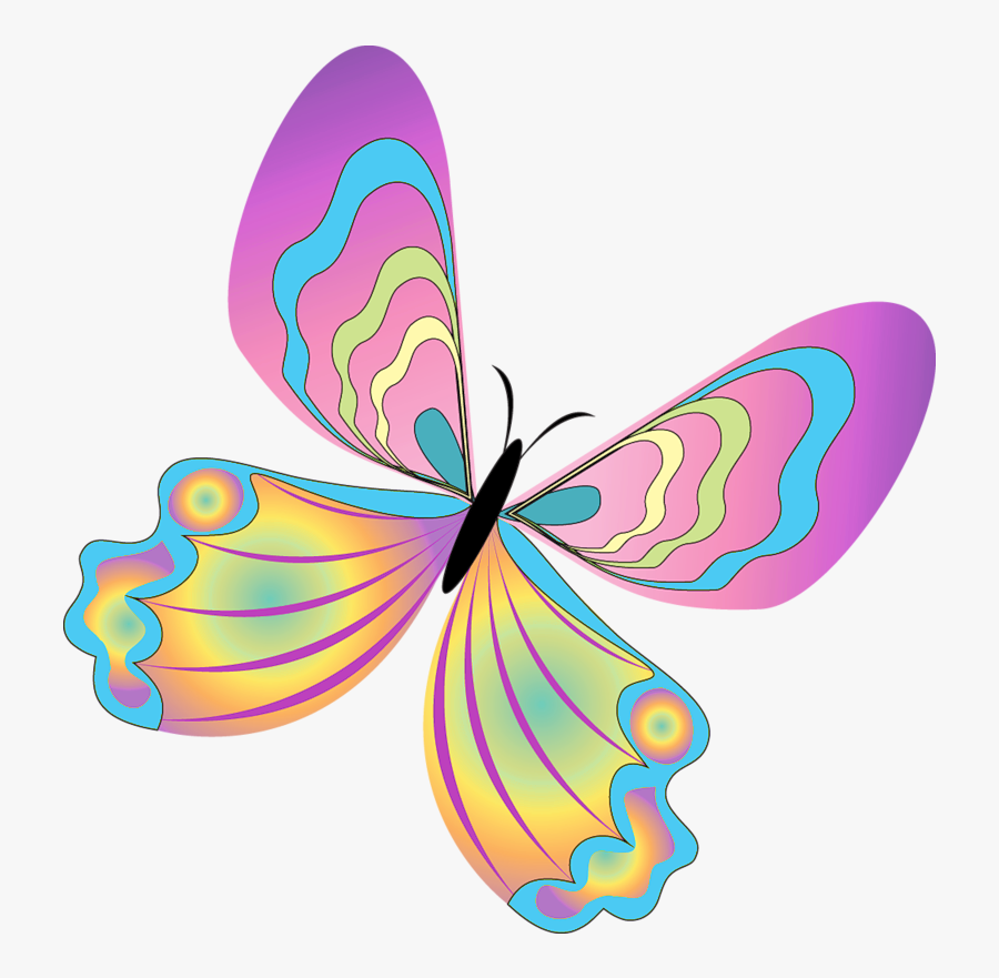 Butterfly Png Clip Art, Transparent Clipart