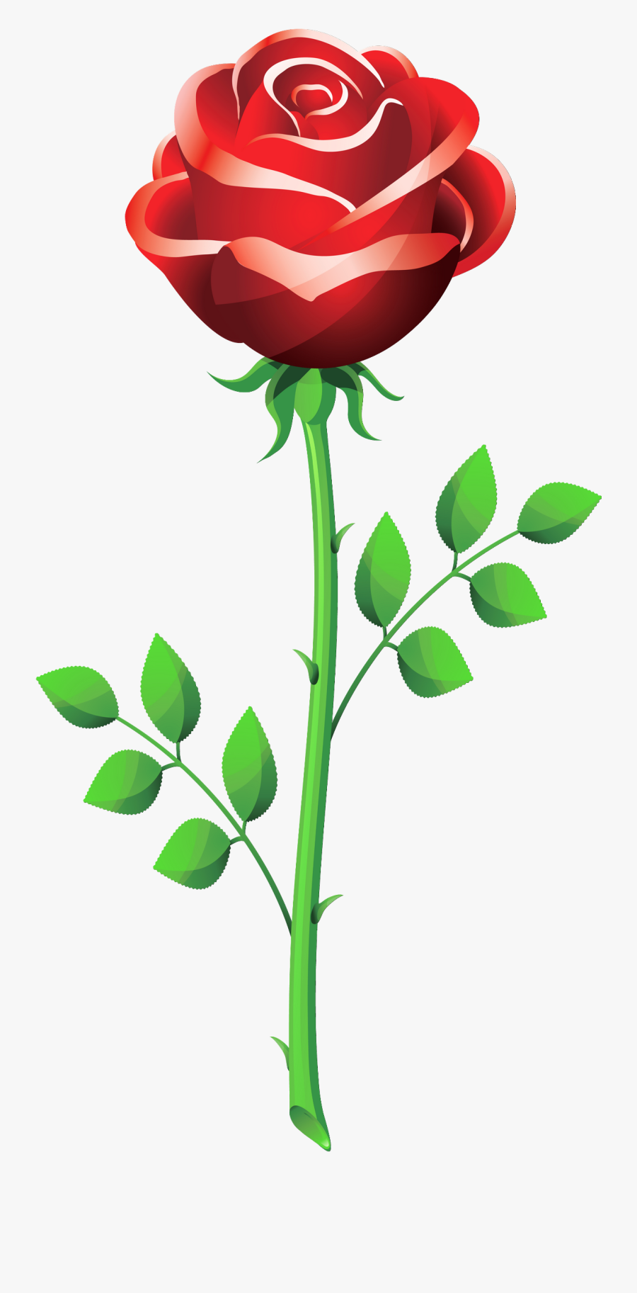 Vector Rose Flower Png, Transparent Clipart