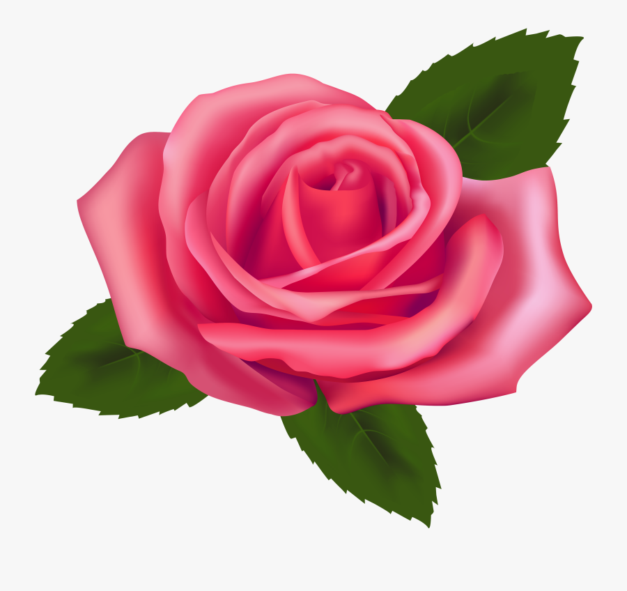 Beautiful Pink Rose Png Clipart - Pink Rose Clipart Transparent, Transparent Clipart