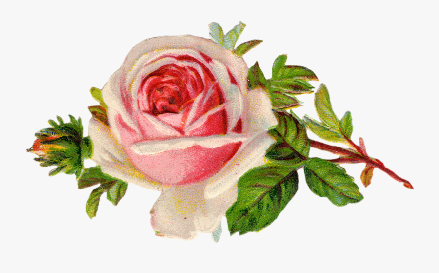 Free Victorian Flower Clipart, Transparent Clipart