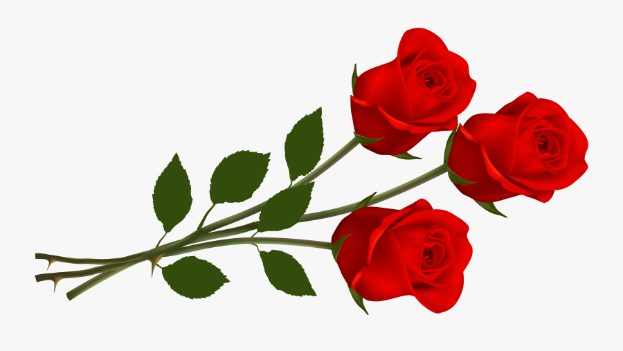 Red Roses Clipart - Transparent Background Rose Clipart, Transparent Clipart