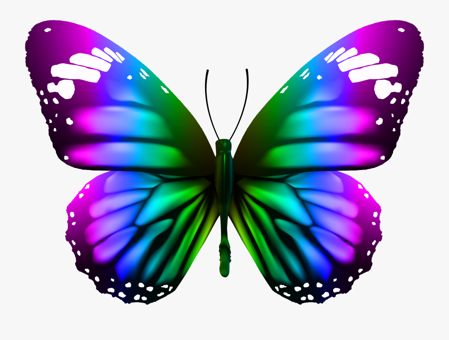 Monarch Butterfly Png, Transparent Clipart