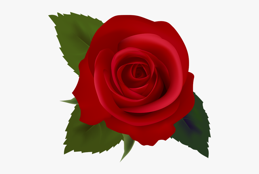 Red Roses Clip Art Images Free Clipart Images - Red Rose Clipart Png, Transparent Clipart